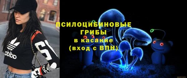 синтетический гашиш Алексеевка