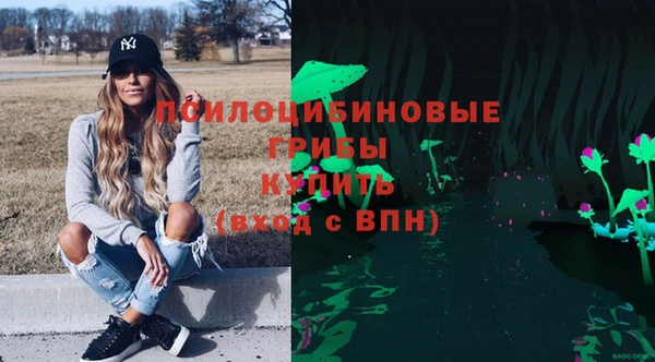 таблы Алзамай