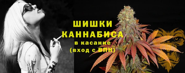 ГАЛЛЮЦИНОГЕННЫЕ ГРИБЫ Шали