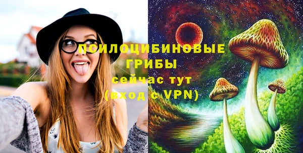 синтетический гашиш Алексеевка