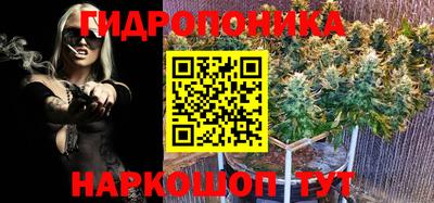 МДПВ Тулун