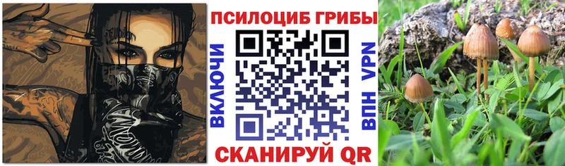 Галлюциногенные грибы MAGIC MUSHROOMS  hydra онион  Алексеевка 