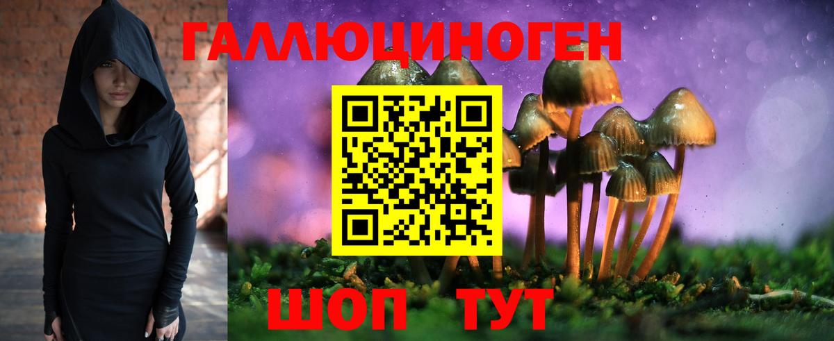 Псилоцибиновые грибы мухоморы Алексеевка
