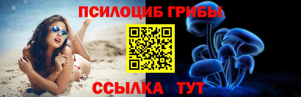 Галлюциногенные грибы мицелий  Вход с VPN  где купить   Алексеевка 